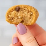 No bake moose fart dessert ball with chewy coconut and graham filling