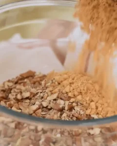 dding biscuit crumbs to pecans for pecan pie balls no bake